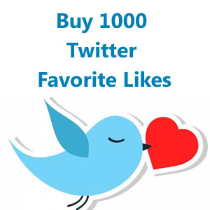 Buy 1000 Twitter Followers Likes